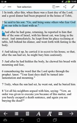 Catholic Bible android App screenshot 4